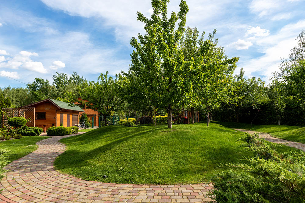 Landscape services