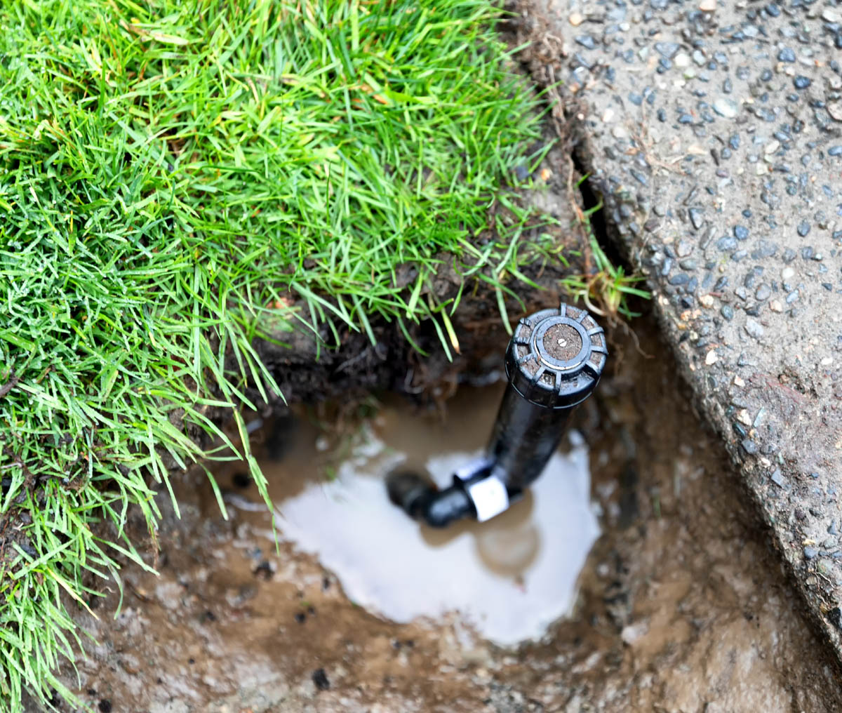 Sprinkler repair